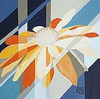 Click for larger image